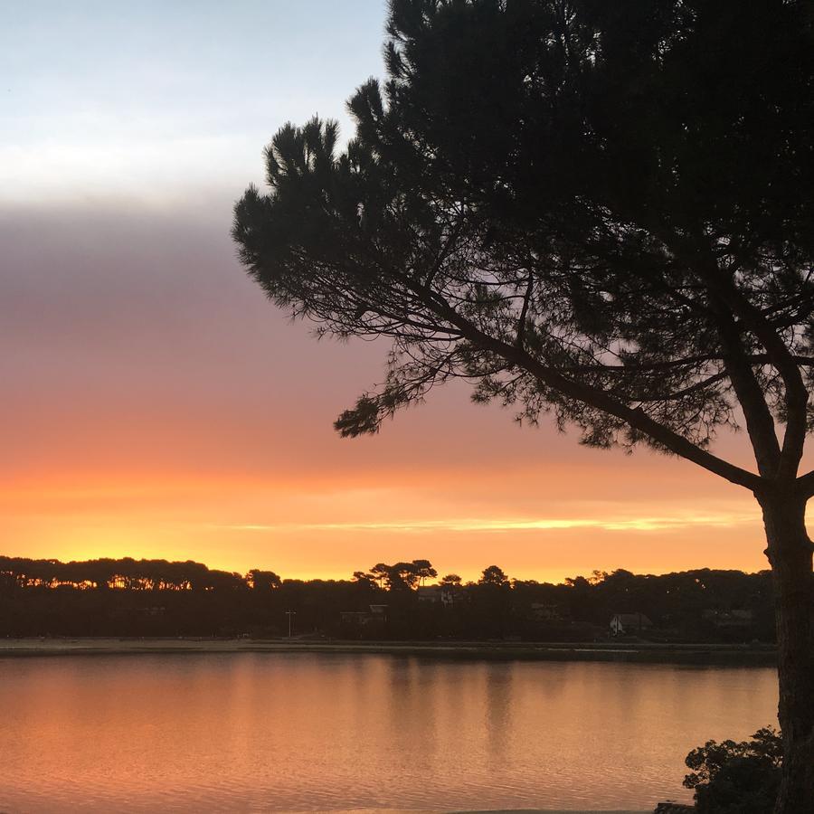 Hotel Les Hortensias Du Lac Soorts-Hossegor Exteriér fotografie